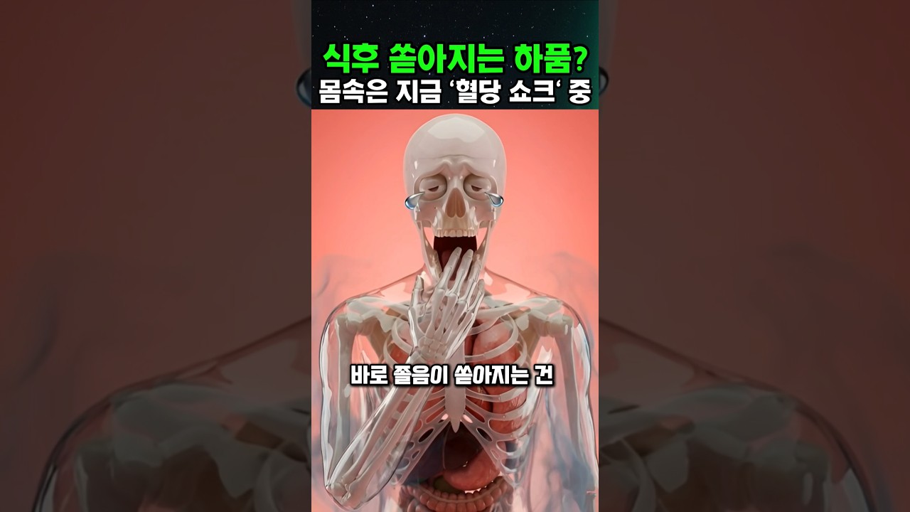 식후에 쏟아지는 잠의 비밀?😲