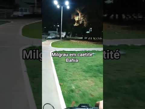 milgrau em caetité bahia #shorts #sohrtsvedeo #youtube #humormeme #londrina #youtubecreatorawards