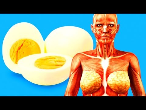 ¿Qué Te Sucedería Si Consumieras Dos Huevos Al Día?