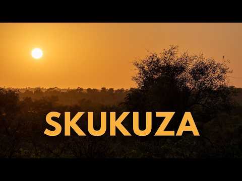 Ep. 10 | Kruger National Park - SKUKUZA in Summer