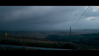 Canaries (2017) Video