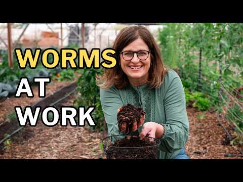 Growing In The Garden and Arizona Worm Farm