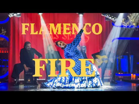 GITANA HECHICERA – Flamenco Fire 🔥 Guitar & Dance Performance | DJ Jorge Andre