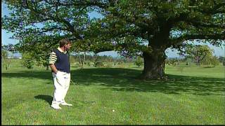 preview picture of video 'Golf Tip - Driver for low shot under tree - Druids Glen Golf Club, Ireland'