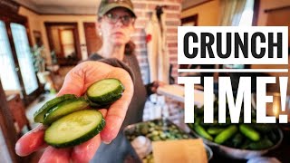 HOW TO KEEP PICKLES CRISP | Canning Dill Pickles