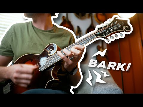 Make Your Mandolin Chop BARK!