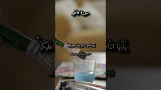 Download lagu Surat -al Fatir (Ayat 03-04) |The light of islam°#Sheikh  Al Haitham dakhin #short mp3