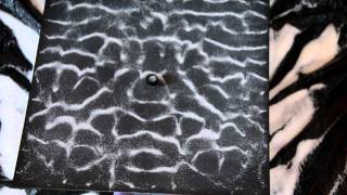 Shape Shifting Vibrations - Chladni Experiment - Sound Creates Form