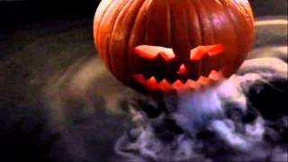 Sepulturero - Florante