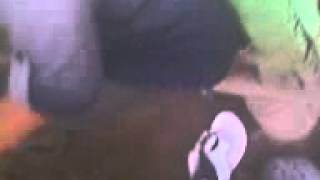 Download lagu Buronan perawan mp3