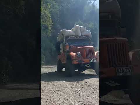 así trepa Jhojan Cifuentes por las trochas de Villahermosa Tolima #campo #carpati