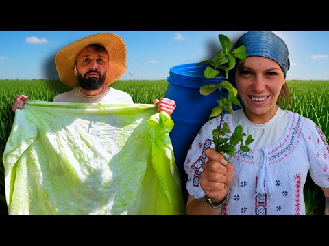 Povestea marioarei ep 35- PETRE in butoi si si buchete din GUNOI