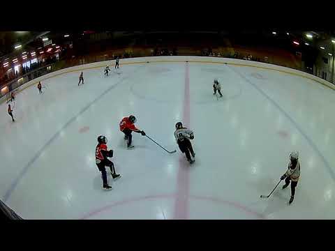 HCNokia08 - Ilves Chicago 13.1.2019