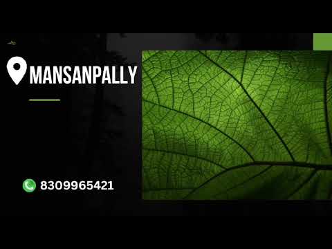 WhatsApp Video 2024 05 27 at 11 03 27 AM