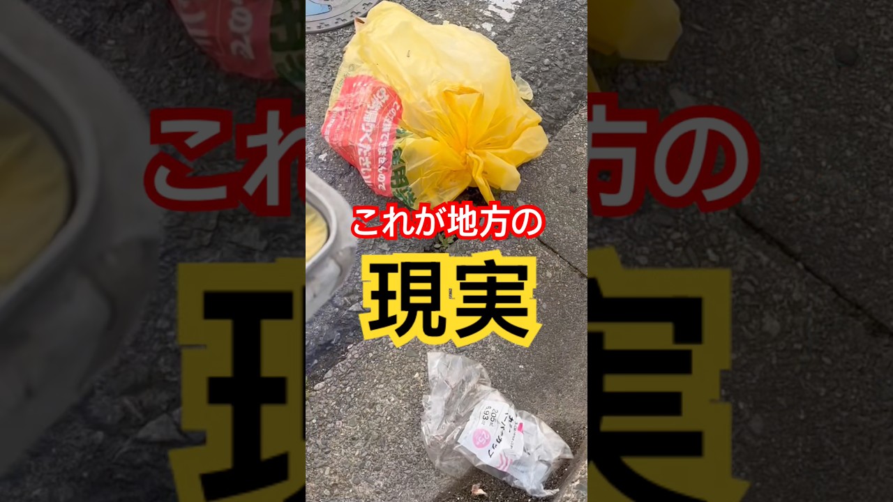 【地域崩壊】茨城「誰かがやる」の「誰か」になってみた。