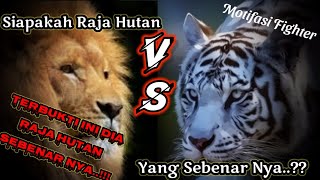 Download lagu Story Wa harimau putih kata kata bijak//story wa viral terbaru//story wa macan putih dan singa mp3