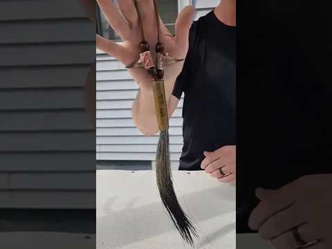 SUPER EASY Turkey Beard & Spur Display! #turkeyhunting #hunting  #turkey #shorts