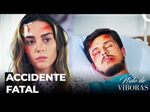 El Día Que Cambió El Destino De Nagme Y Ejder - Nido De Víboras