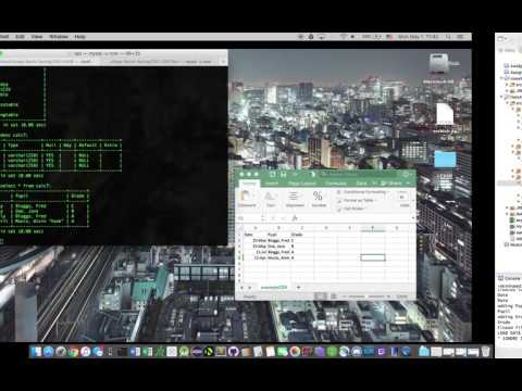 Java Import Csv To Database