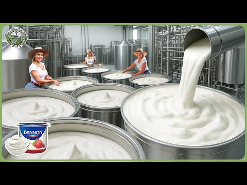 How Yogurt Is Made   Incredible Yogurt Processing In Mega Factory