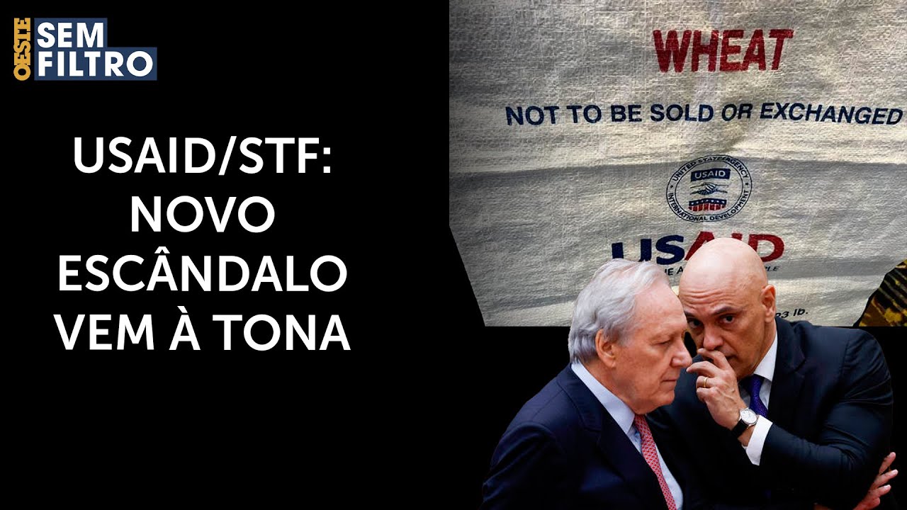 'Desordem informacional': Lewandowski populariza termo da USAID para combater fake news