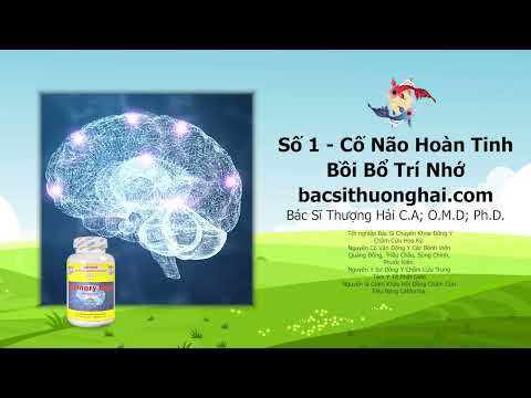 BỒI BỔ TRÍ NHỚ | Bác Sĩ Thượng Hải | Sức Khỏe Đời Sống | Số 1 - Cố Não Hoàn Tinh (Phần 1)