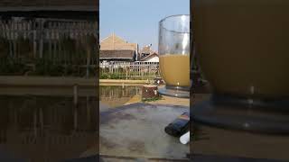 Download lagu Kopi pagi mp3