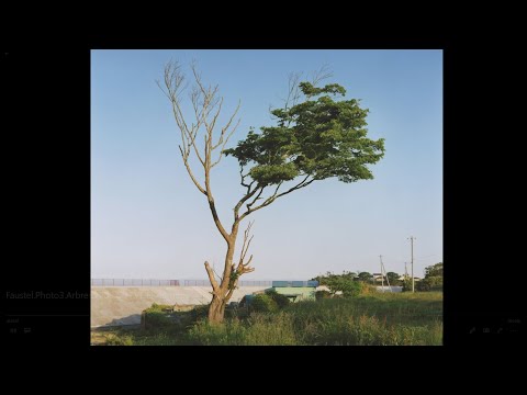 L'oeuvre de Naoya Hatakeyama commentée par Marc Feustel