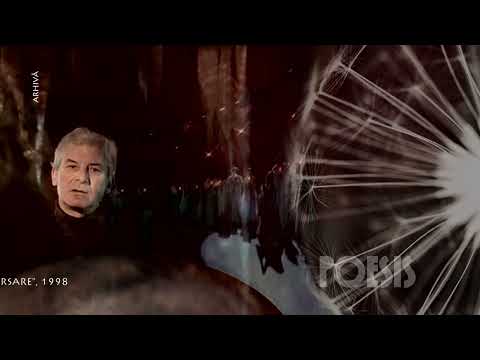 Poesis: Traian Stănescu – Trebuiau să poarte un nume de Marin Sorescu (@Arhiva TVR)