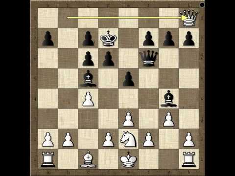 Kako je crni sve zrtvovao i pobedio - CRADDOCK vs MIESES - Englska partija  # 507