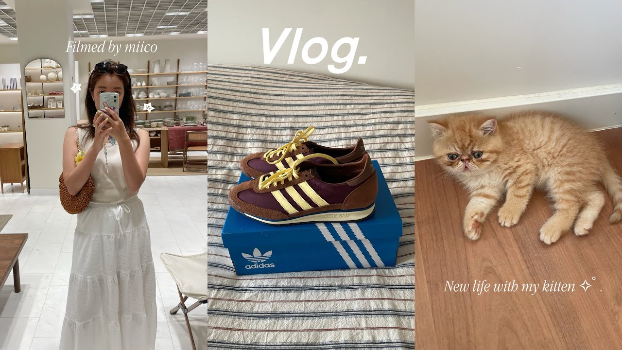 海外で働く社会人vlog👩🏻‍💻🥐子猫ちゃんとの生活スタート, adidas, ZARA HOME購入品🐈💫
