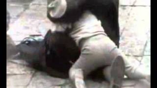 los lagartos atole con el dedo