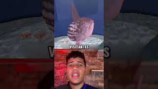 Este pez es el... #sabiasque #datoscurisos #tiktok