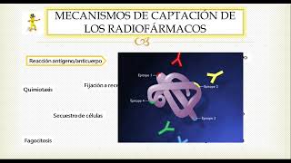 Medicina nuclear: ¿Qué son los RADIOFÁRMACOS?