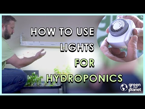 image-What kind of lighting is needed for hydroponics?