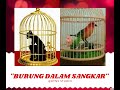 Bagai Burung Dalam Sangkar