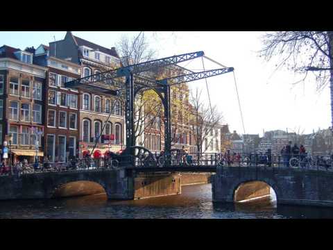 Trans-European Division Annual Council report, GC 2016