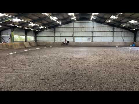 Phoebe Murray riding Ilviro - BE90 dressage test 96 (2016)