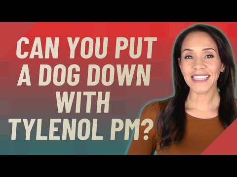 Can you put a dog down with Tylenol PM?