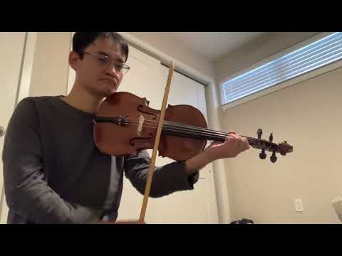 Brácsa próba - Szatmári Magyar Verbunk