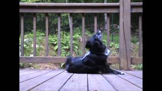 Fun Games: Stick 'em up! Bang!