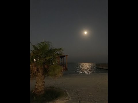 30 Minutes Of (Slowed+Reverb) ICYTWAT