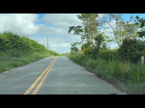 BA 539 Entre São Miguel das Matas e o Entroncamento na BA 026, atenção redobrada para motoristas