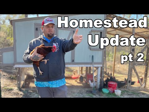 Homestead Update: A Full Tour of the Farm & What’s Next Pt 2