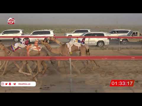  ش 9 (الغزالي) لـ عبدالله غصاب راعي الطيره العامري 3:01 ,تمهيدي مهرجان العين 2026/07/03 فطامين سويح