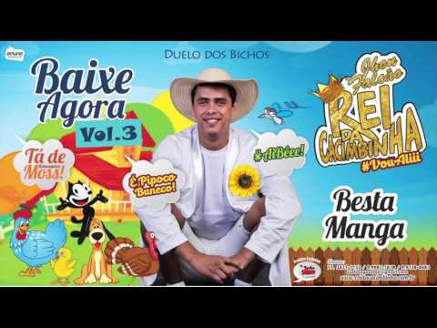 REI DA CACIMBINHA BESTA MAGA (ÁUDIO OFICIAL) 2016