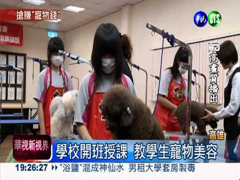 全國唯一! 學校開班教寵物美容
