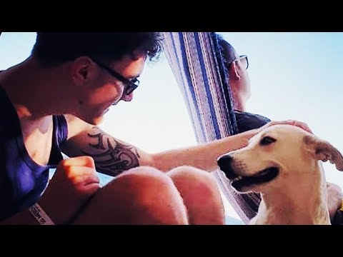 REASON WHY WE LOVE MIRACLE- DOTA 2