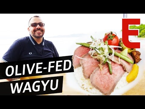 Are The Best Wagyu Cattle Raised On An Olive Diet? —...
