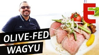 Are The Best Wagyu Cattle Raised On An Olive Diet? — The Meat Show